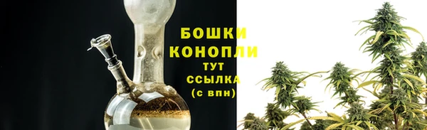 шишки Протвино