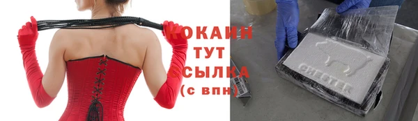 шишки Протвино