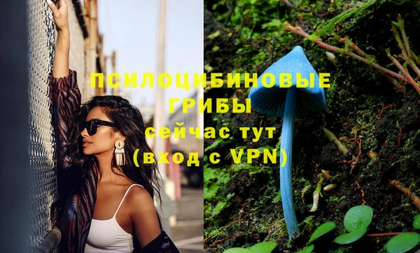 jwh Верхний Тагил