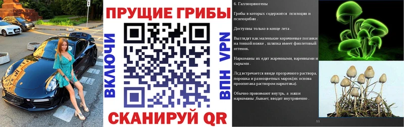 Галлюциногенные грибы Psilocybe  цена наркотик  kraken ссылки  Певек 